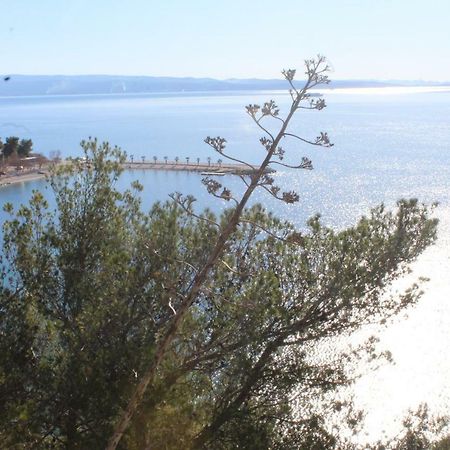 Paradise Apartment With Big Sunny Terrace In The Old Town, Few Meters From The Sea & Riva Promenade Split Buitenkant foto